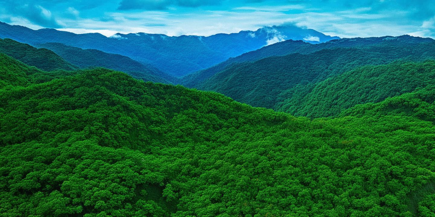 镇巴县苗乡“四月八”牛王节盛大开幕,千米民族美食街长桌宴惊艳亮相
